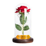 Ewige Rose im Glas