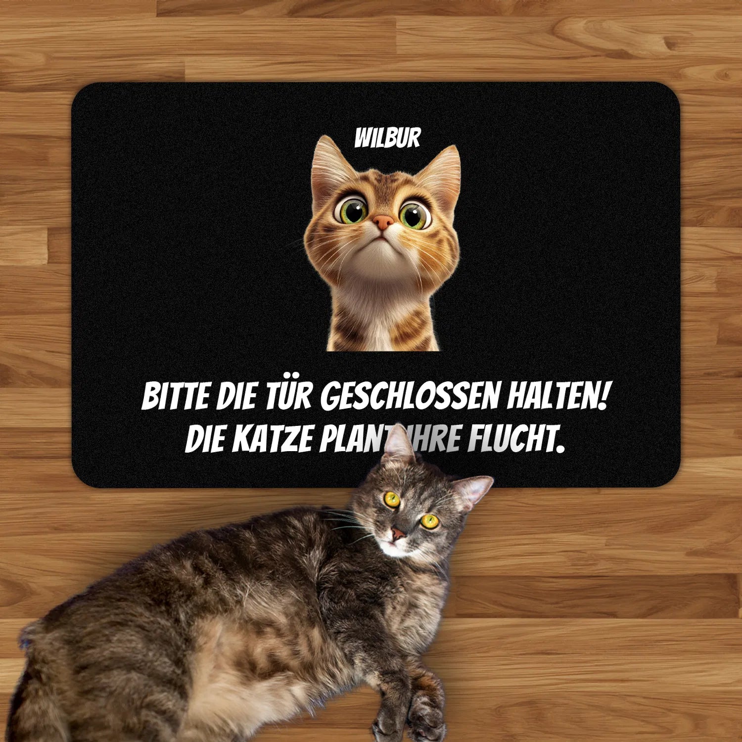 Fußmatte Katzen planen Flucht